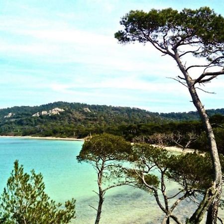 Ile De Porquerolles : T3 Climatise Vue Mer Exterior foto