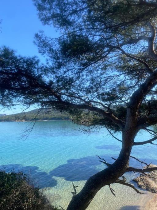 Ile De Porquerolles : T3 Climatise Vue Mer Exterior foto