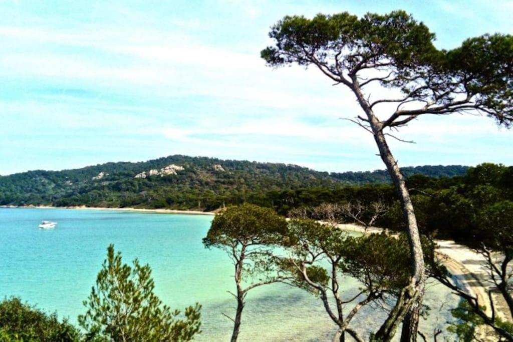 Ile De Porquerolles : T3 Climatise Vue Mer Exterior foto